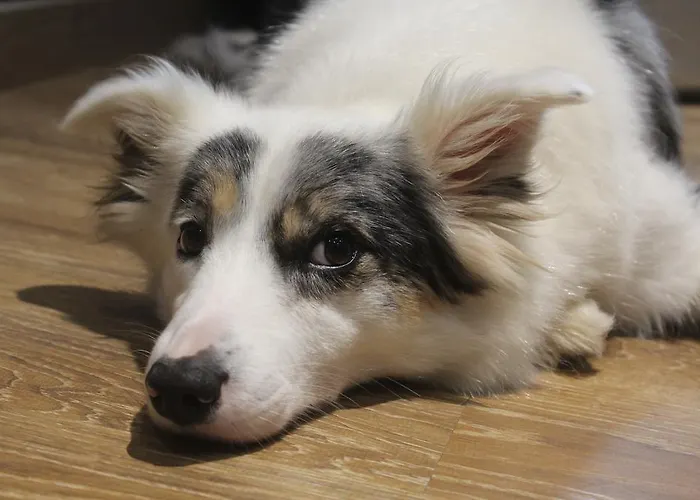 La Botica Posada De Llanes